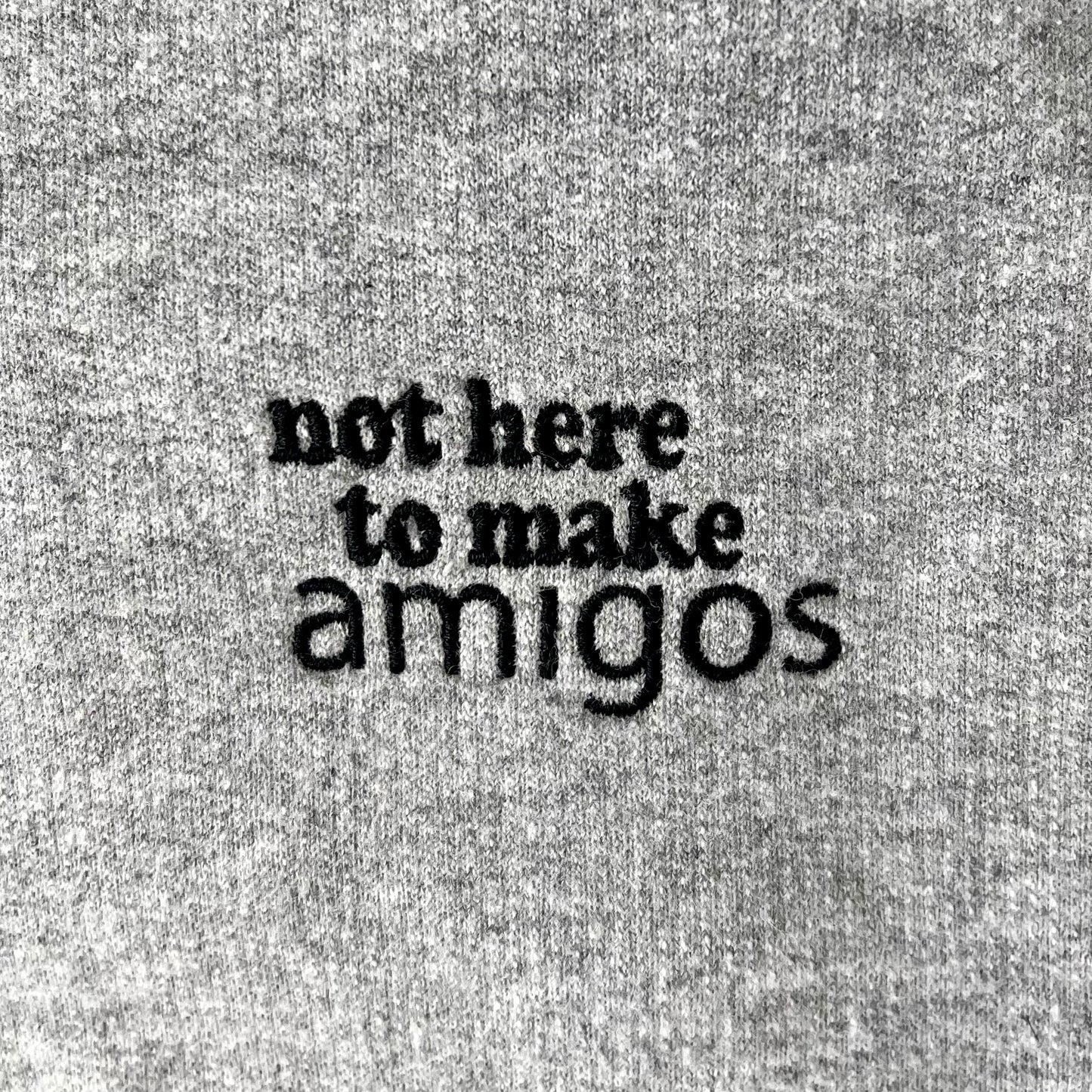 "Not here to make amigos" Hoodie 👯‍♂️